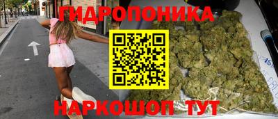 гашик Малгобек