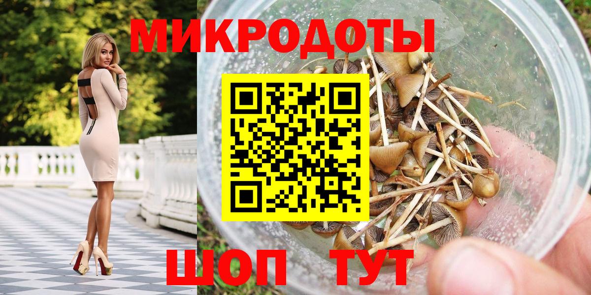 Троицк  где можно купить   Вход с VPN  Псилоцибиновые грибы Psilocybine cubensis 