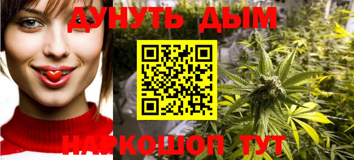 Шишки марихуана планчик  Конопля план  Троицк  Вход с VPN  Бошки марихуана ГИДРОПОН  Конопля планчик 